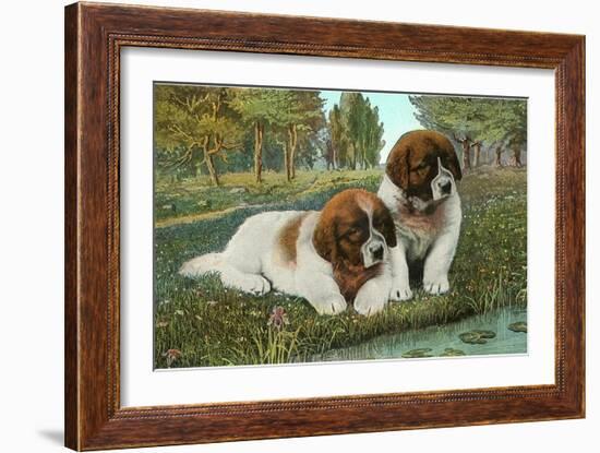 St. Bernard Puppies-null-Framed Art Print