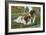 St. Bernard Puppies-null-Framed Art Print