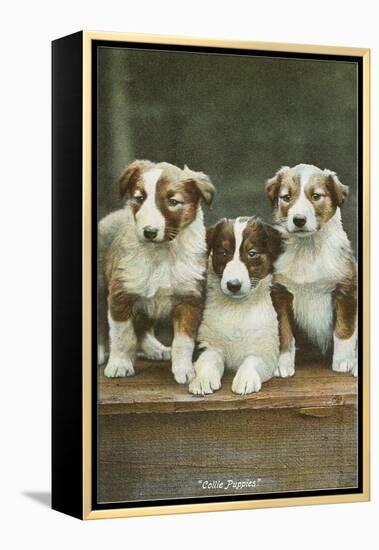 St. Bernard Puppies-null-Framed Stretched Canvas