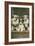 St. Bernard Puppies-null-Framed Art Print