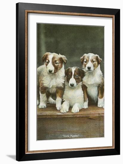 St. Bernard Puppies-null-Framed Art Print