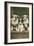 St. Bernard Puppies-null-Framed Art Print