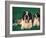 St. Bernard with Puppy in Grass-Adriano Bacchella-Framed Photographic Print