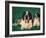 St. Bernard with Puppy in Grass-Adriano Bacchella-Framed Photographic Print