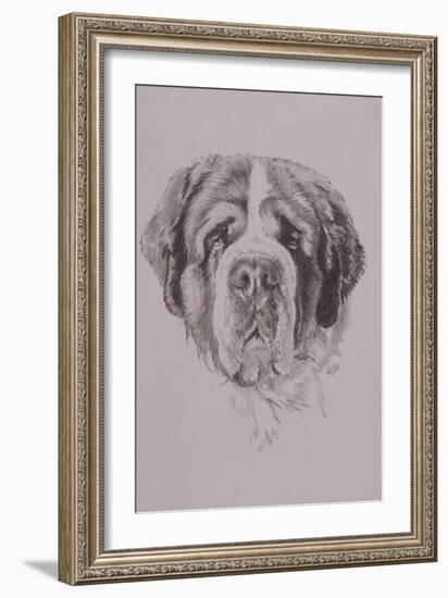 St. Bernard-Barbara Keith-Framed Giclee Print