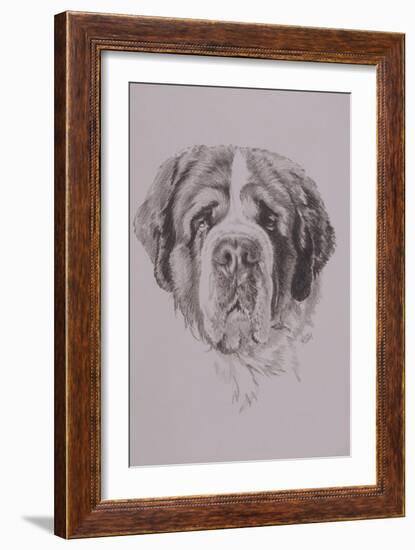 St. Bernard-Barbara Keith-Framed Giclee Print