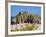 St. Catherines Island, Tenby, Pembrokeshire, Wales, United Kingdom, Europe-Billy Stock-Framed Photographic Print