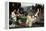 St. Cecilia-John William Waterhouse-Framed Premier Image Canvas