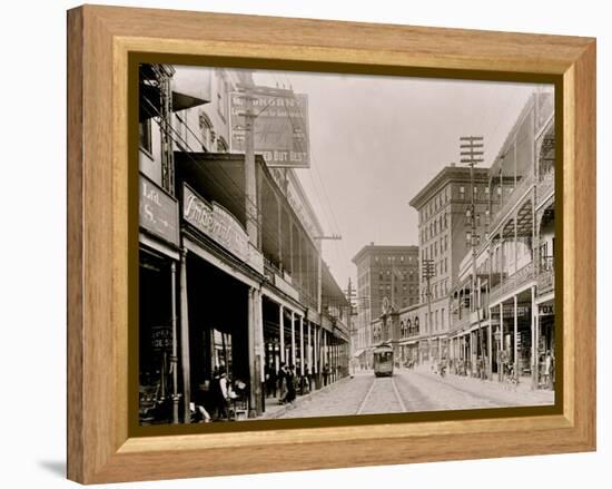 St. Charles St. I.E. Saint Charles Avenue, New Orleans, Louisiana-null-Framed Stretched Canvas