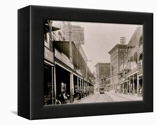 St. Charles St. I.E. Saint Charles Avenue, New Orleans, Louisiana-null-Framed Stretched Canvas