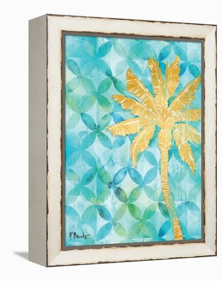 St Croix IV-Paul Brent-Framed Stretched Canvas