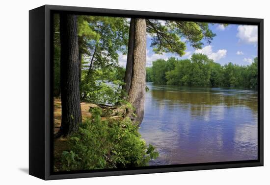 St. Croix River Shoreline-Steven Gaertner-Framed Premier Image Canvas