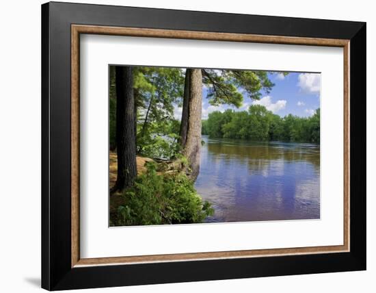 St. Croix River Shoreline-Steven Gaertner-Framed Photographic Print