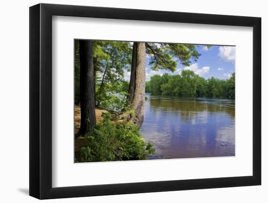 St. Croix River Shoreline-Steven Gaertner-Framed Photographic Print