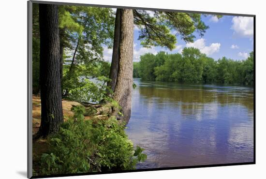 St. Croix River Shoreline-Steven Gaertner-Mounted Photographic Print