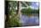 St. Croix River Shoreline-Steven Gaertner-Mounted Photographic Print