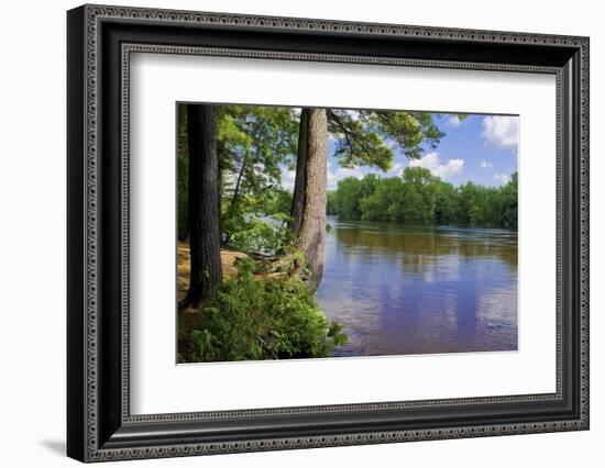 St. Croix River Shoreline-Steven Gaertner-Framed Photographic Print