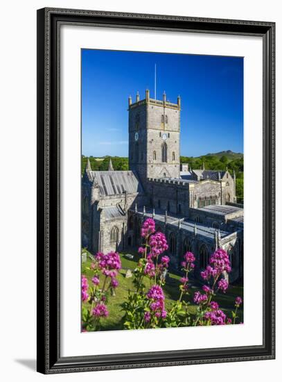 St. Davids Cathedral, Pembrokeshire, Wales, United Kingdom-Billy Stock-Framed Photographic Print