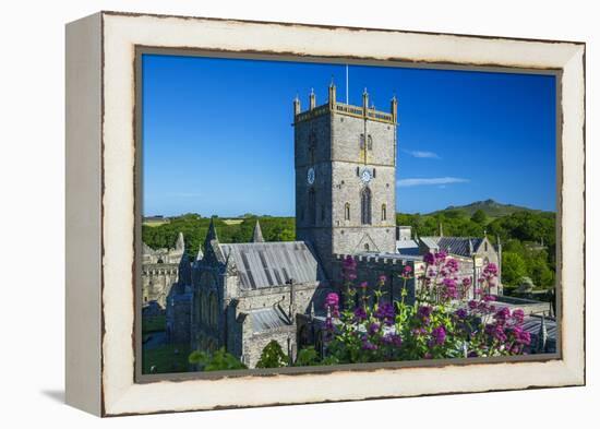 St. Davids Cathedral, Pembrokeshire, Wales, United Kingdom-Billy Stock-Framed Premier Image Canvas