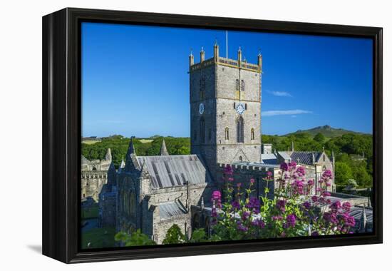 St. Davids Cathedral, Pembrokeshire, Wales, United Kingdom-Billy Stock-Framed Premier Image Canvas