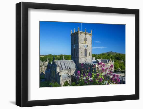 St. Davids Cathedral, Pembrokeshire, Wales, United Kingdom-Billy Stock-Framed Photographic Print