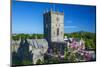 St. Davids Cathedral, Pembrokeshire, Wales, United Kingdom-Billy Stock-Mounted Photographic Print