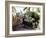 St. Emillion, Aquitaine, France-Adam Woolfitt-Framed Photographic Print