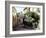 St. Emillion, Aquitaine, France-Adam Woolfitt-Framed Photographic Print