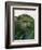 St. Flour, Cantal, Auvergne, France, Europe-David Hughes-Framed Photographic Print