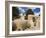 St. Francis De Asis Church in Ranchos De Taos, Taos, New Mexico, United States of America, North Am-Richard Cummins-Framed Photographic Print