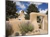 St. Francis De Asis Church in Ranchos De Taos, Taos, New Mexico, United States of America, North Am-Richard Cummins-Mounted Photographic Print