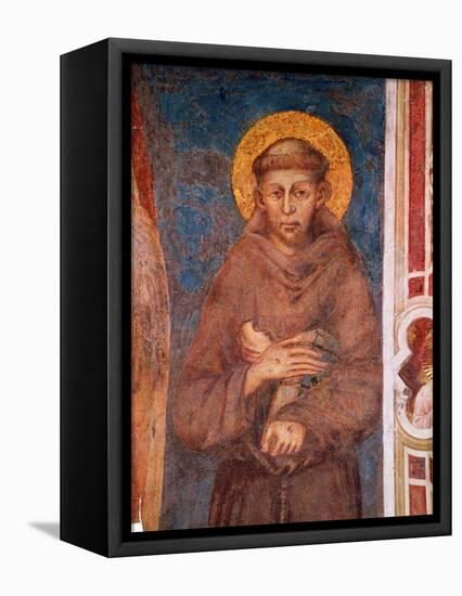 St. Francis (Detail)-Cimabue-Framed Premier Image Canvas