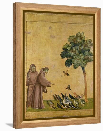 St. Francis of Assisi preaching to the birds. Ca. 1295-1300 (Predella, see also Image ID 19398)-null-Framed Premier Image Canvas