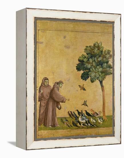 St. Francis of Assisi preaching to the birds. Ca. 1295-1300 (Predella, see also Image ID 19398)-null-Framed Premier Image Canvas