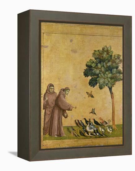 St. Francis of Assisi preaching to the birds. Ca. 1295-1300 (Predella, see also Image ID 19398)-null-Framed Premier Image Canvas
