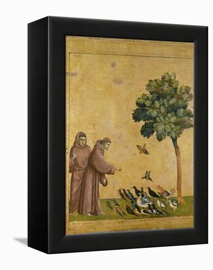 St. Francis of Assisi preaching to the birds. Ca. 1295-1300 (Predella, see also Image ID 19398)-null-Framed Premier Image Canvas