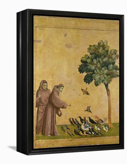 St. Francis of Assisi preaching to the birds. Ca. 1295-1300 (Predella, see also Image ID 19398)-null-Framed Premier Image Canvas