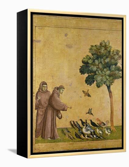 St. Francis of Assisi preaching to the birds. Ca. 1295-1300 (Predella, see also Image ID 19398)-null-Framed Premier Image Canvas