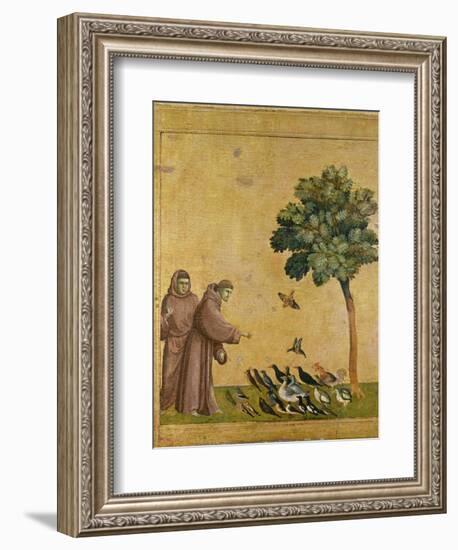 St. Francis of Assisi preaching to the birds. Ca. 1295-1300 (Predella, see also Image ID 19398)-null-Framed Giclee Print