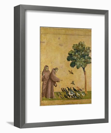 St. Francis of Assisi preaching to the birds. Ca. 1295-1300 (Predella, see also Image ID 19398)-null-Framed Giclee Print