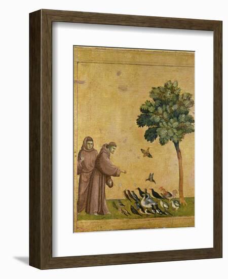 St. Francis of Assisi preaching to the birds. Ca. 1295-1300 (Predella, see also Image ID 19398)-null-Framed Giclee Print