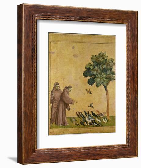 St. Francis of Assisi preaching to the birds. Ca. 1295-1300 (Predella, see also Image ID 19398)-null-Framed Giclee Print