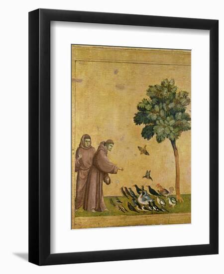 St. Francis of Assisi preaching to the birds. Ca. 1295-1300 (Predella, see also Image ID 19398)-null-Framed Giclee Print