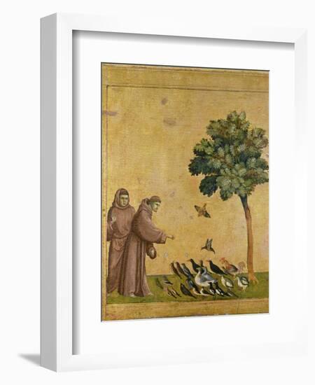 St. Francis of Assisi preaching to the birds. Ca. 1295-1300 (Predella, see also Image ID 19398)-null-Framed Giclee Print