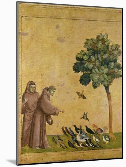 St. Francis of Assisi preaching to the birds. Ca. 1295-1300 (Predella, see also Image ID 19398)-null-Mounted Giclee Print