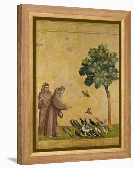 St. Francis of Assisi Preaching to the Birds-Giotto di Bondone-Framed Premier Image Canvas