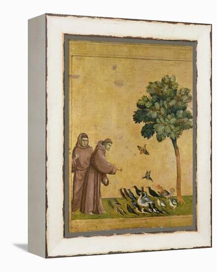 St. Francis of Assisi Preaching to the Birds-Giotto di Bondone-Framed Premier Image Canvas