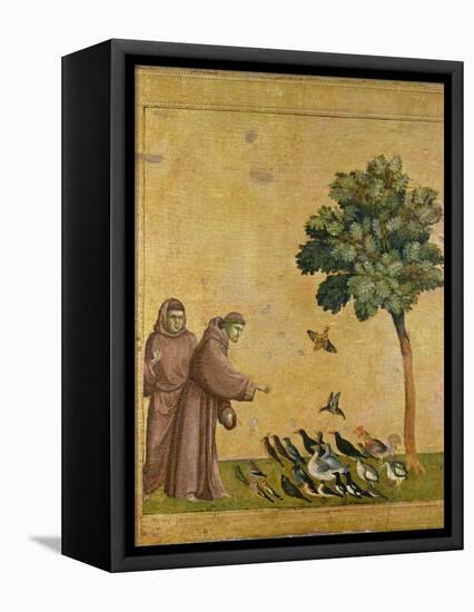 St. Francis of Assisi Preaching to the Birds-Giotto di Bondone-Framed Premier Image Canvas