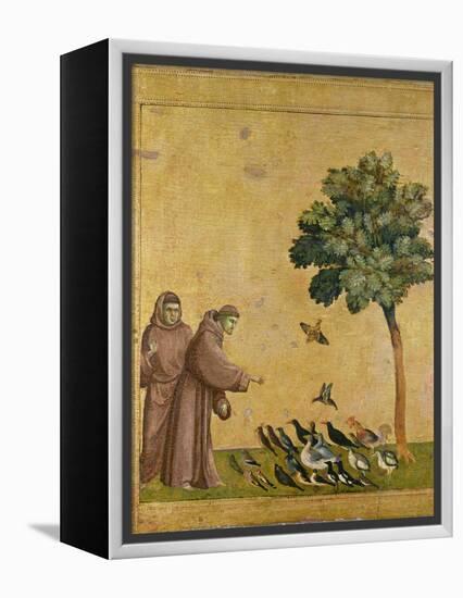 St. Francis of Assisi Preaching to the Birds-Giotto di Bondone-Framed Premier Image Canvas