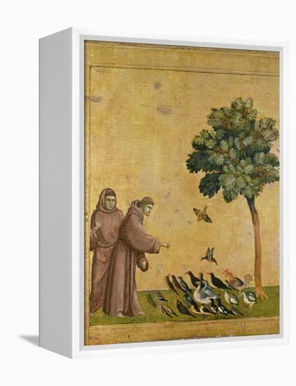 St. Francis of Assisi Preaching to the Birds-Giotto di Bondone-Framed Premier Image Canvas